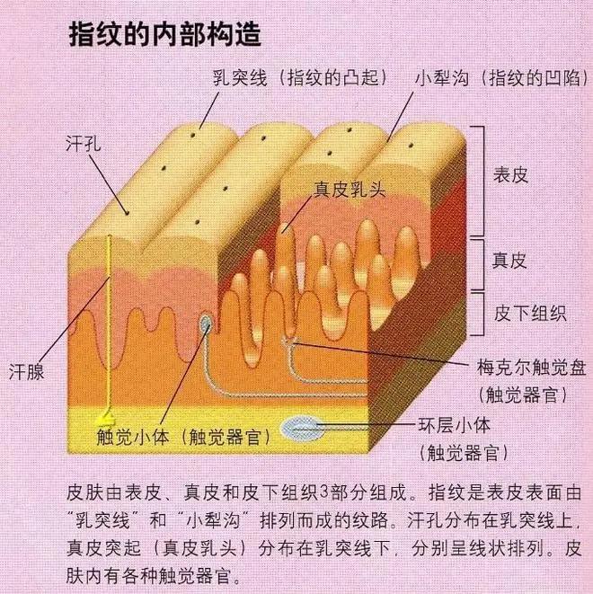 微信圖片_20210312100735.jpg