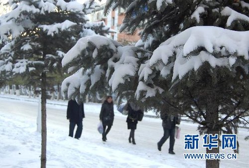 哈爾濱、大慶降下今年入冬以來(lái)第一場(chǎng)雪