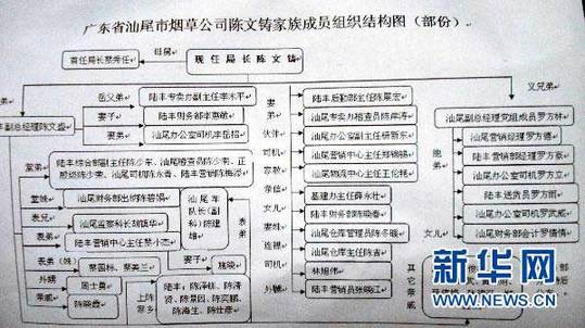 圖為廣東省汕尾市煙草專賣局局長陳文鑄家族成員組織結(jié)構(gòu)圖（1月13日攝）。新華社記者 劉大江 攝