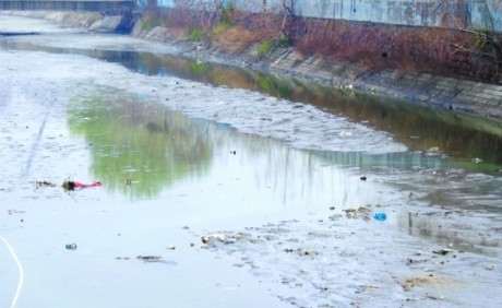 板橋坊河入海口河道淤積變臭