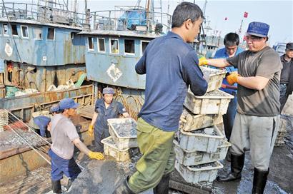 6月1日起青島全面休漁 海鮮價(jià)格猛漲