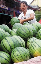 青島本地西瓜口感差滯銷 瓜販高價從外地進貨