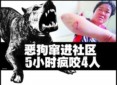 青島啃臉瘋狗闖小區(qū)連咬4人 女子嘴唇被咬掉一塊肉