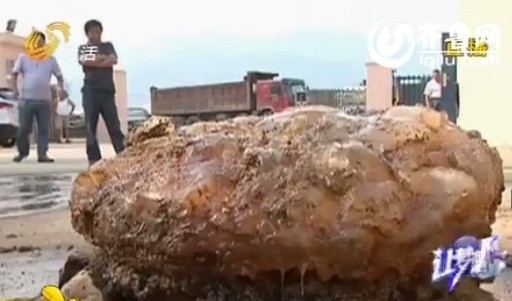 青島河道淤泥現(xiàn)巨型怪物 有人猜測是太歲