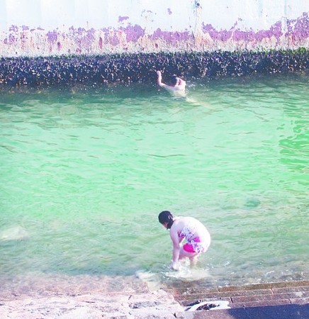 臺(tái)風(fēng)達(dá)維吹跑青島中苑號致傾斜20度 市民船底挖海蠣子