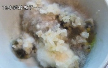 空調(diào)散熱片藏匿大量細(xì)菌 米飯吹三天發(fā)霉