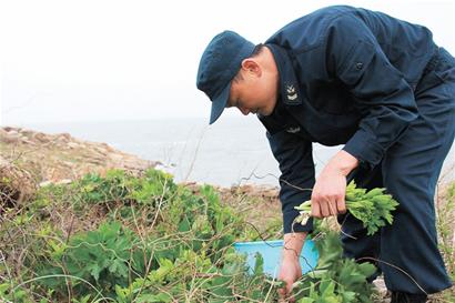 雷達兵扎根孤島16年