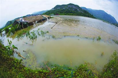 臺風海葵逼停青島44個航班