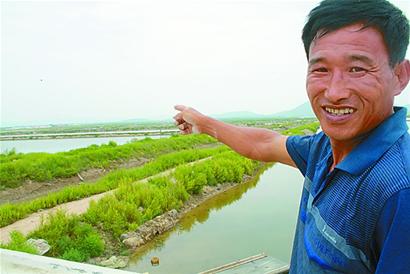 青島人全國(guó)租海搞養(yǎng)殖