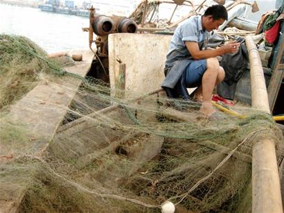 明日開海鲅魚對(duì)蝦黃花魚成主力