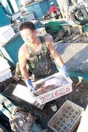 開海首日海鮮價格不高