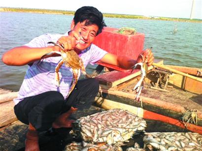 青島今年大閘蟹更鮮美 養(yǎng)殖戶喂足青魚蛤蜊頂蓋兒肥