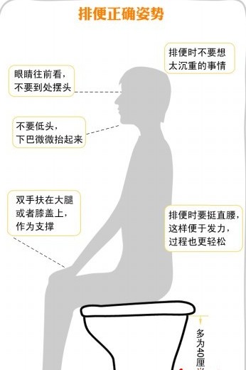 馬桶離地超40厘米致便秘 圖解最正確如廁姿勢