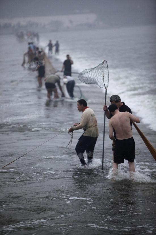 洛河水漲 洛陽市民集體撈魚