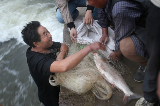 洛河水漲 洛陽市民集體撈魚