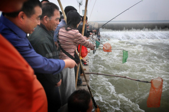 洛河水漲 洛陽市民集體撈魚