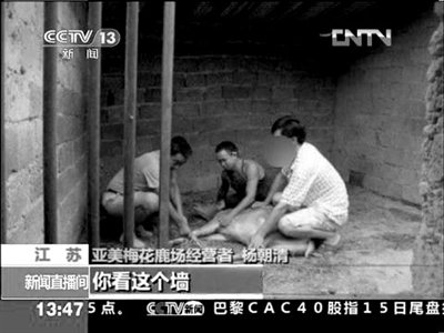 央視稱“游客在南京排隊喝鹿血”系假新聞