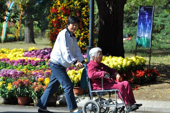 青島中山公園30萬(wàn)盆菊花爭(zhēng)奇斗艷