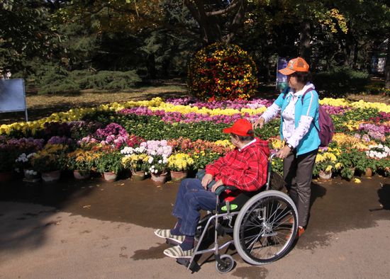 青島中山公園30萬盆菊花爭奇斗艷