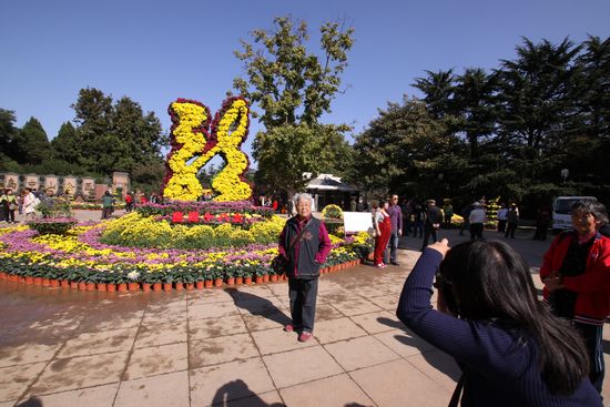 青島中山公園30萬盆菊花爭奇斗艷