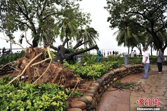 臺風山神過境三亞大風暴雨 市民街上下網捕魚