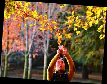 青島正是賞秋好時節(jié):山明水凈夜來霜 數(shù)樹深紅出淺黃