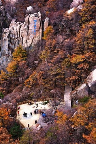 嶗山昨日喜迎初雪 曬大美巨峰深秋紅葉