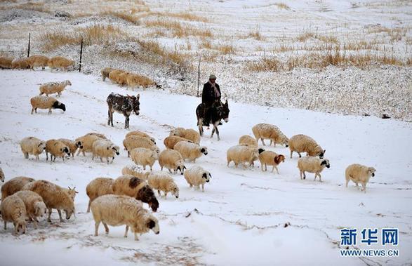 （社會(huì)）（1）內(nèi)蒙古錫林郭勒草原降雪降溫