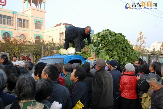 平度白菜豐收銷售遇冷:全民總動員拯救菜賤傷農(nóng)