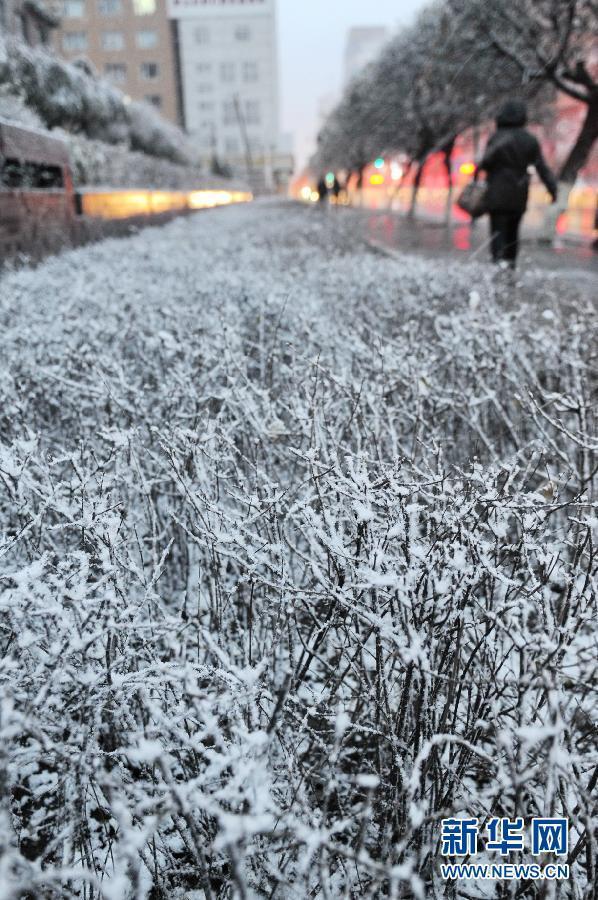 （生態(tài)）（3）內(nèi)蒙古東部、東北大部遭遇寒潮降雪天氣