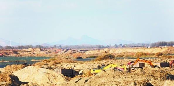 大小沽河交匯處成鳥兒天堂 天藍(lán)水凈野鴨紛飛