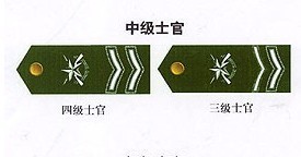 人人都該知道的軍銜常識(shí) 必須看