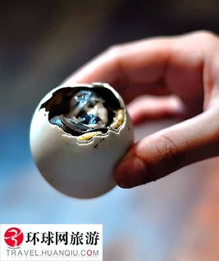 各國最奇怪食物TOP10 你敢不敢嘗一嘗