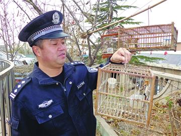 青年廢棄廠區(qū)架網(wǎng)捕鳥