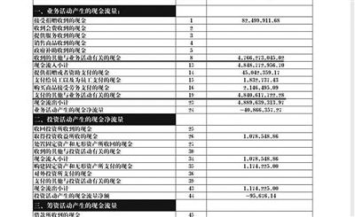 舉報(bào)人周筱赟貼出的中華兒慈會(huì)2011年財(cái)務(wù)報(bào)表，并標(biāo)出可疑項(xiàng)目。網(wǎng)絡(luò)截圖