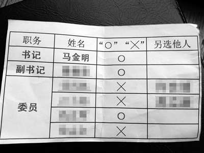 部分黨員提供的“選票”。新京報(bào)記者 劉珍妮 攝