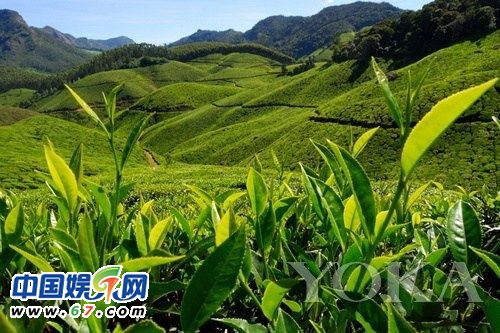 電影外景場地一炮而紅