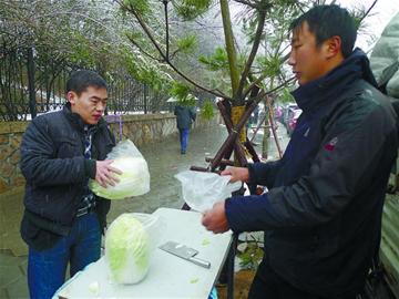 市人大代表、政協(xié)委員關(guān)注“菜事”建議拓寬銷售渠道