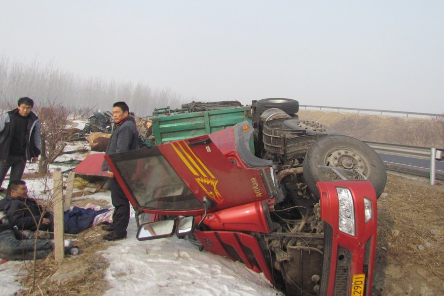 山東貨車側(cè)翻15頭牛死亡 村民趁亂割牛腿