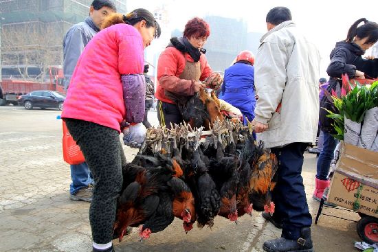 過大年趕大集 李村集場面火爆年味濃