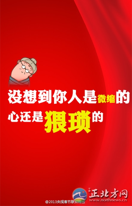 盤點2013年央視蛇年春晚流行語走紅網(wǎng)絡(luò)【組圖】