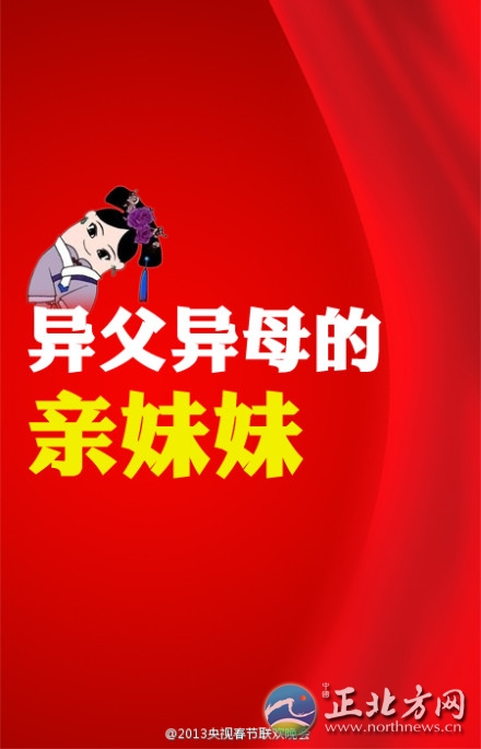 盤點2013年央視蛇年春晚流行語走紅網(wǎng)絡(luò)【組圖】