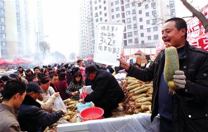 蘿卜會7天涌進300萬人 創(chuàng)23年之最