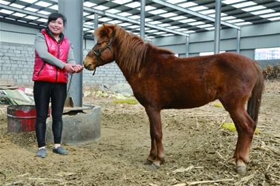 村民開辦家庭動物園免費對外開放