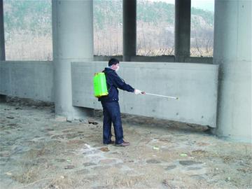 仰口橋下現(xiàn)20余頭死豬 相關(guān)部門稱屬正常死亡沒傳染病