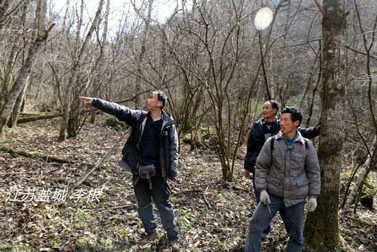 2013年3月4日，陜西省安康市鎮(zhèn)坪縣，隨周正龍上山人員研究尋虎方案。李根/CFP