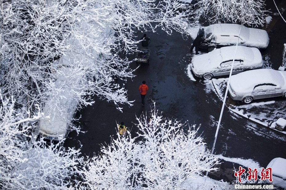 2013年3月20日早晨，降雪后的北京，全城銀裝素裹