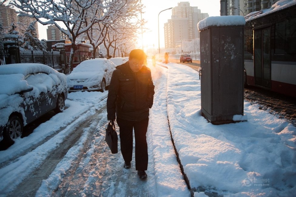 2013年3月20日早晨，降雪后的北京，全城銀裝素裹