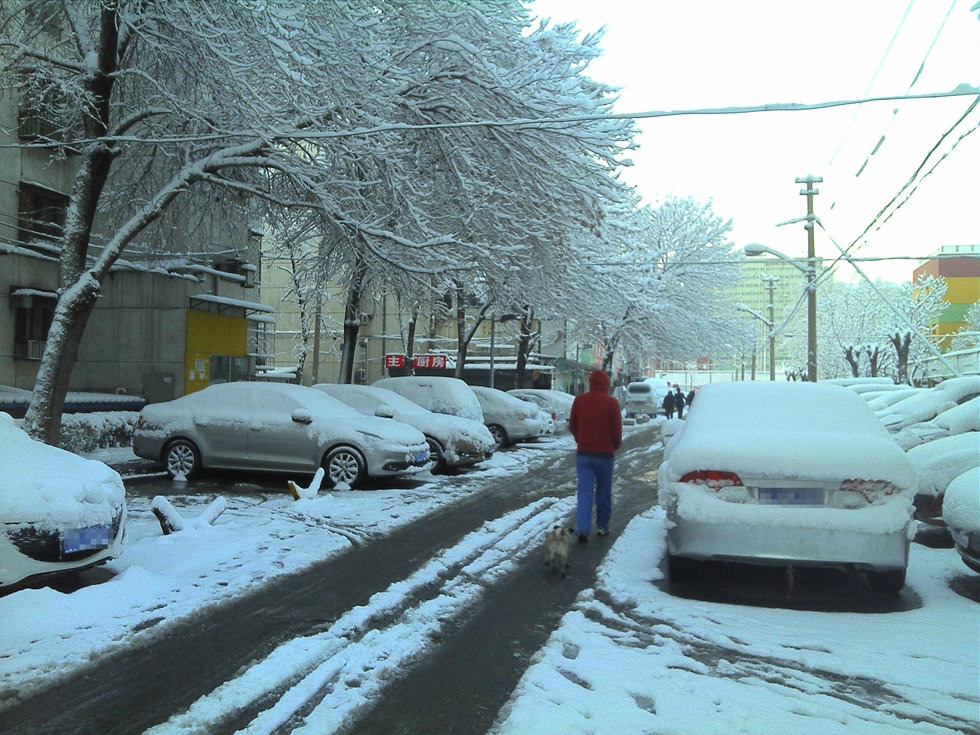 2013年3月20日早晨，降雪后的北京，全城銀裝素裹