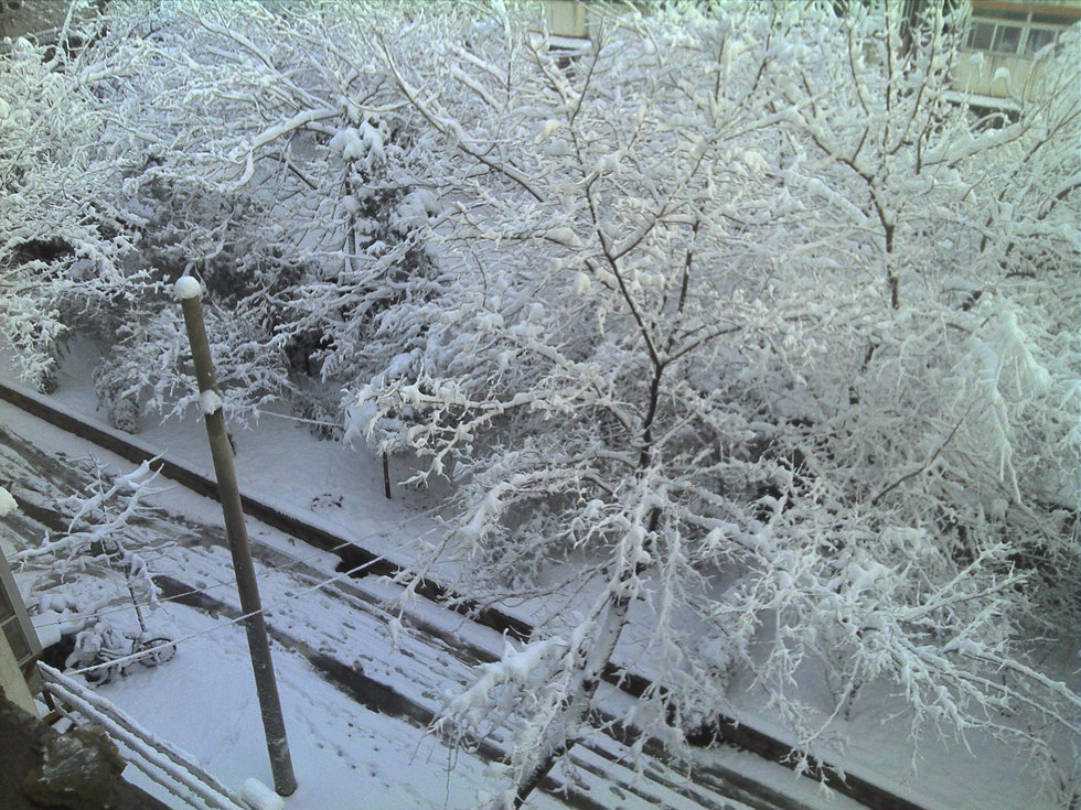 2013年3月20日早晨，降雪后的北京，全城銀裝素裹